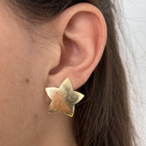 Aros Gold | Estrella